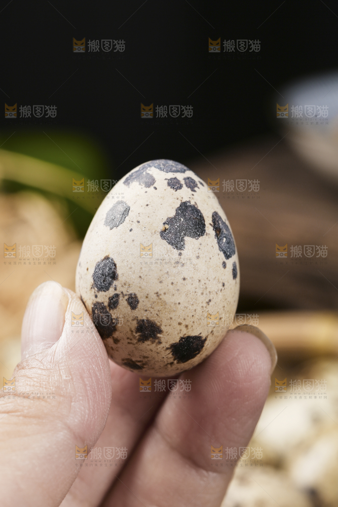 深底上的新鲜鹌鹑蛋