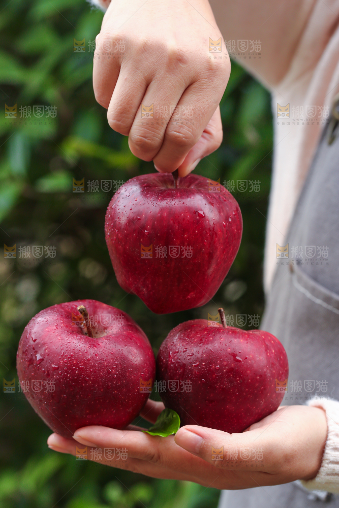 手里拿着花牛苹果