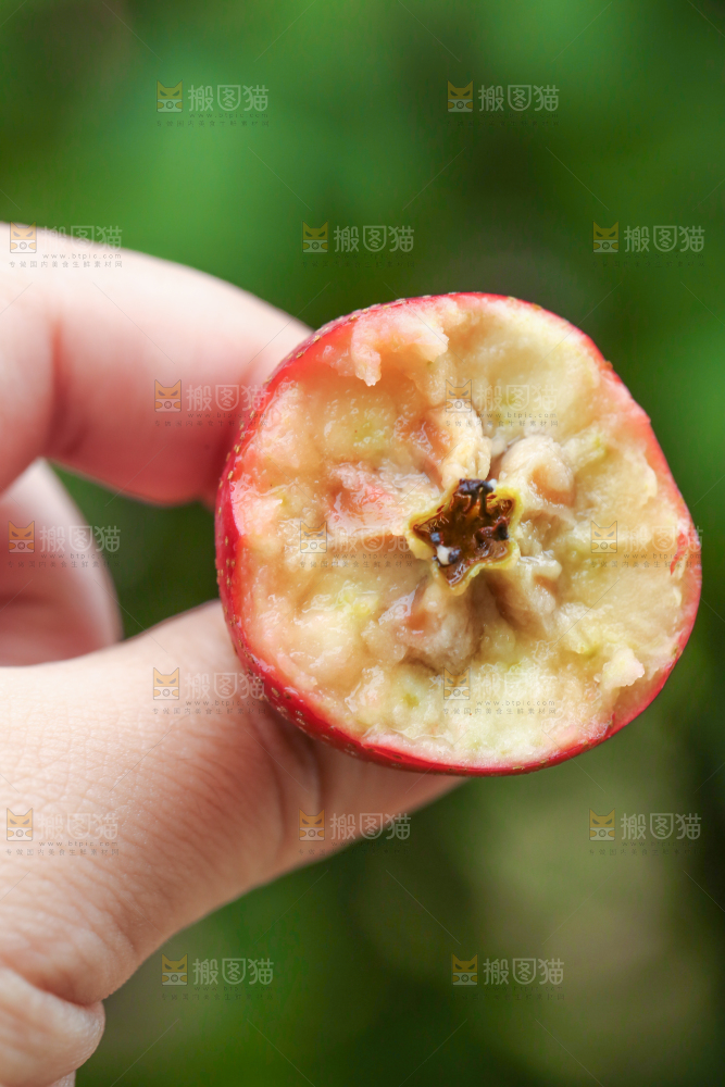 手里拿着新鲜山楂