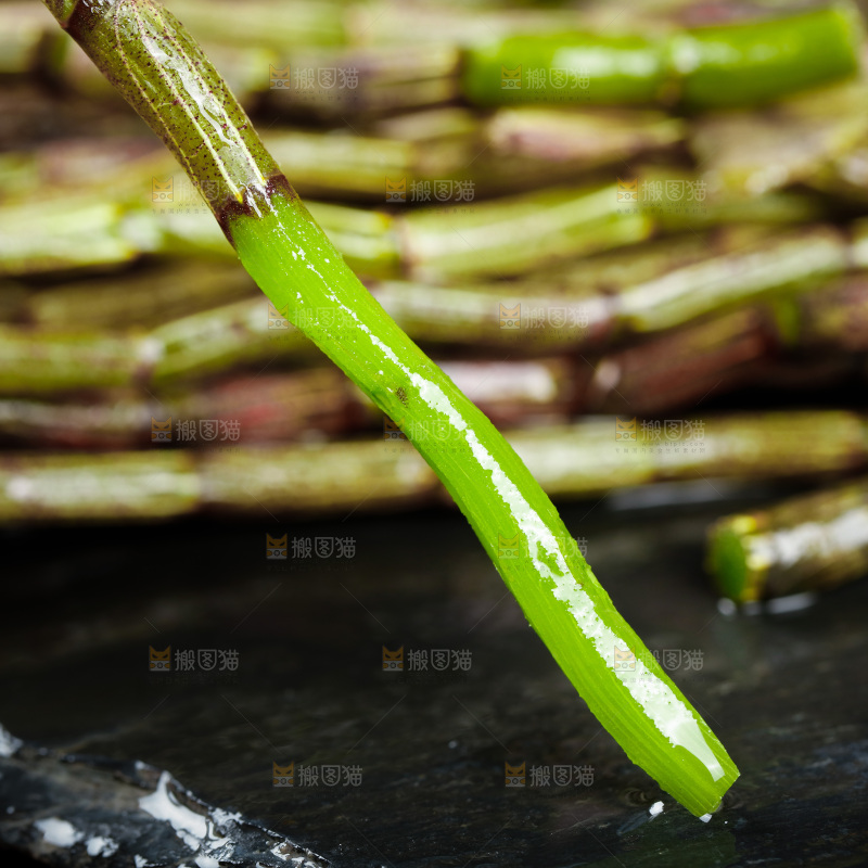 深底上的石斛鲜条