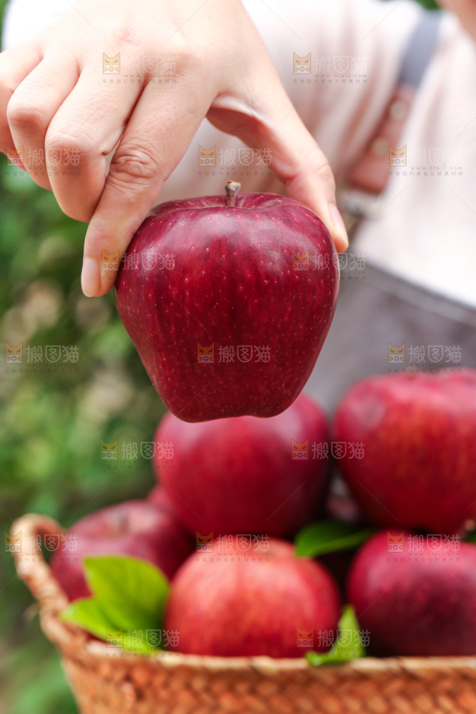 手里拿着花牛苹果