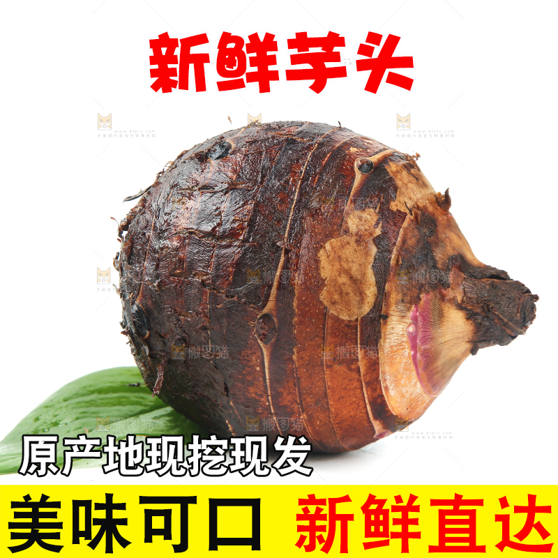 白底上的荔浦芋头