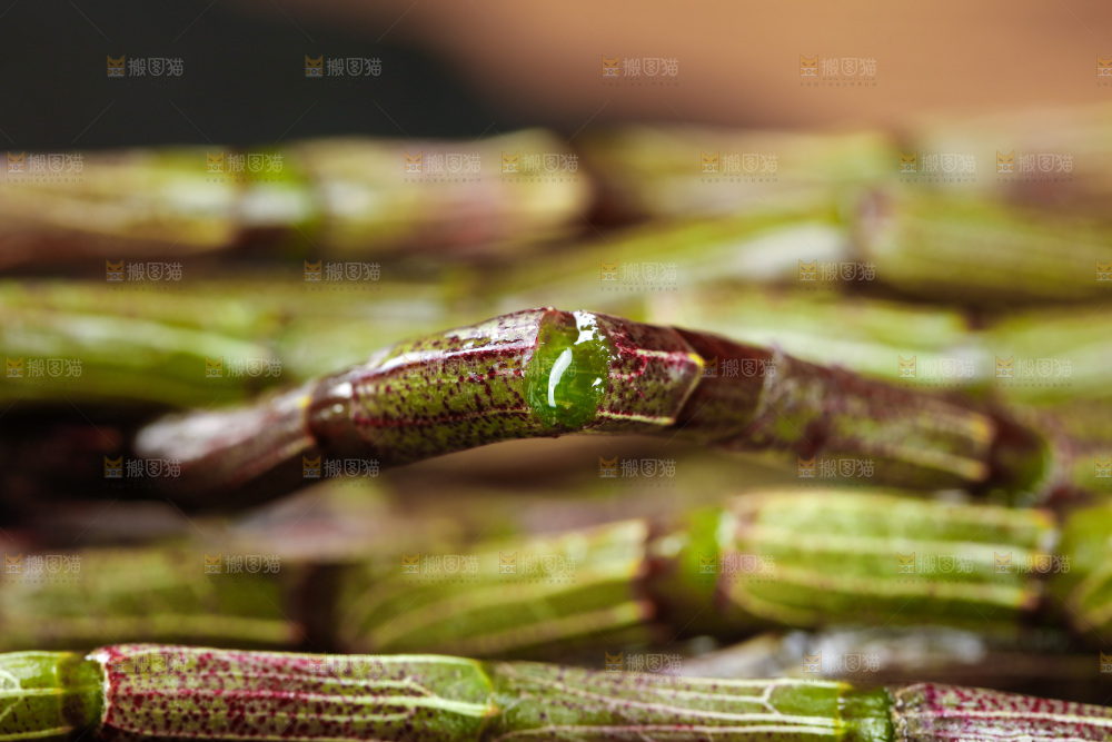 深底上的石斛鲜条