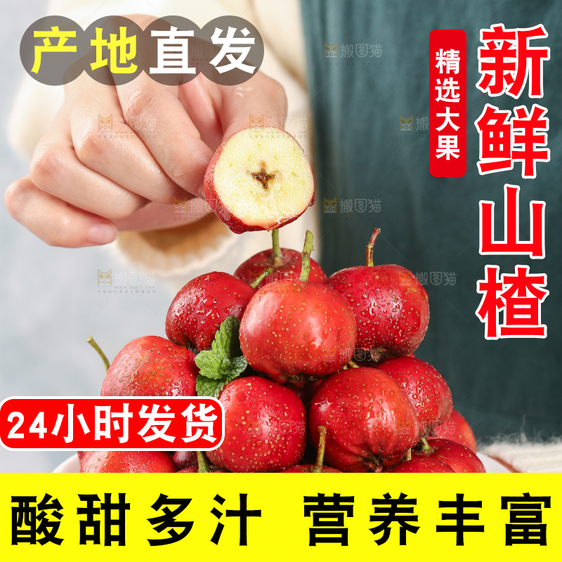 浅底上的新鲜山楂