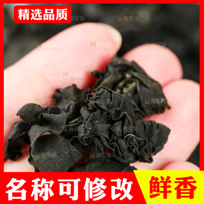 深底上的裙带菜