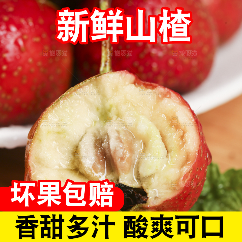 浅底上的新鲜山楂
