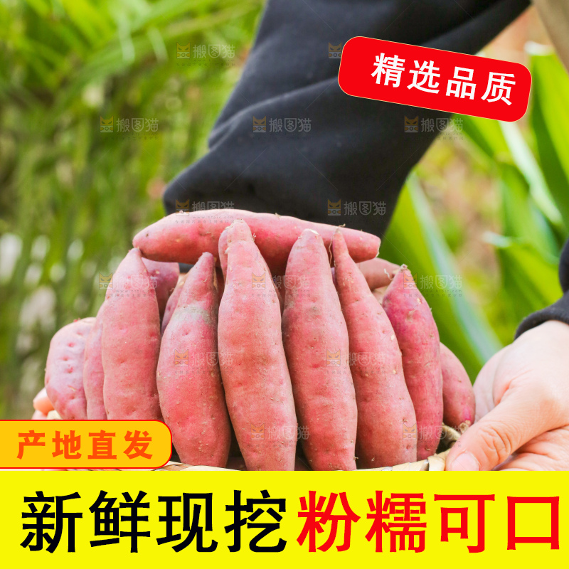 手里拿着小香薯