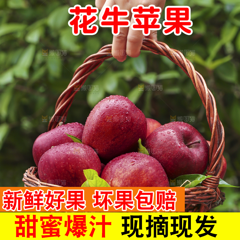 手里拿着花牛苹果