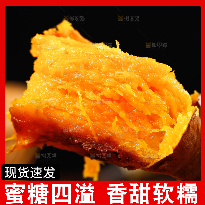 深底上的烟薯25号