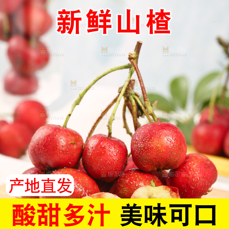 浅底上的新鲜山楂