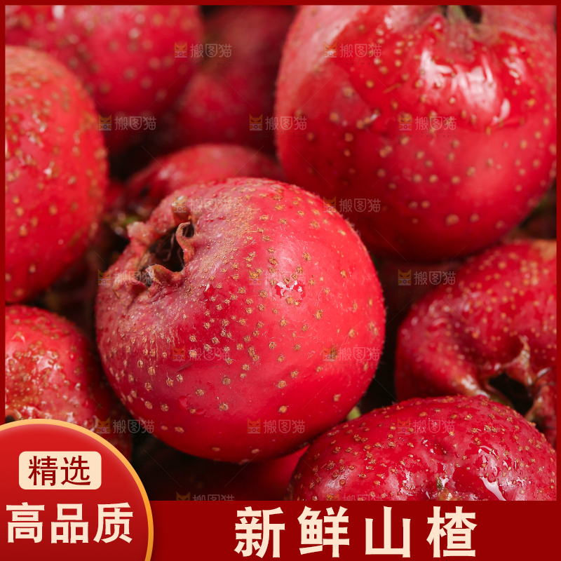 白底上的新鲜山楂