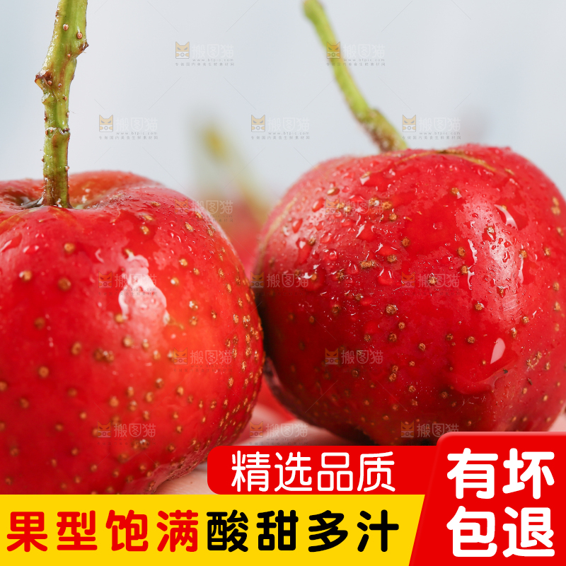 浅底上的新鲜山楂