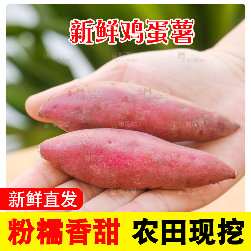 手里拿着小香薯