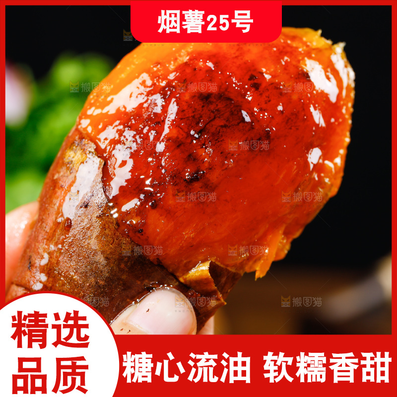 深底上的烟薯25号