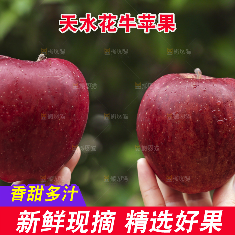 手里拿着花牛苹果