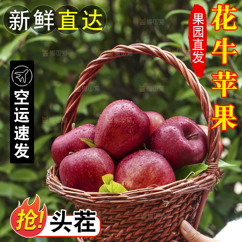 手里拿着花牛苹果