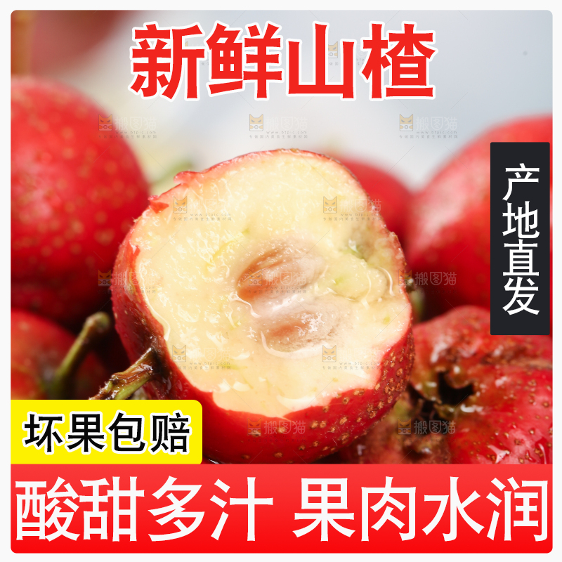浅底上的新鲜山楂