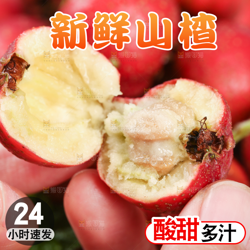 浅底上的新鲜山楂