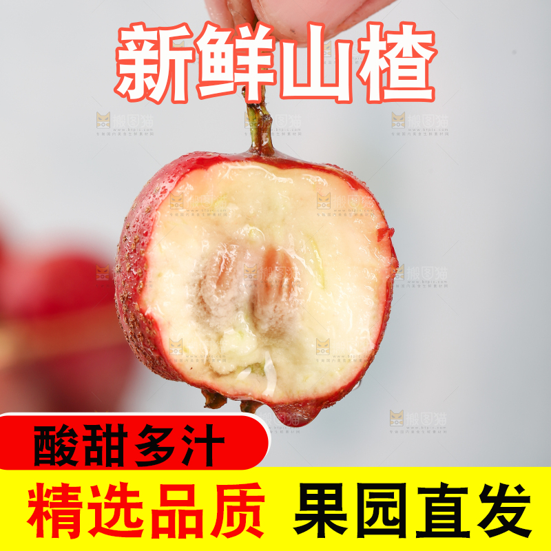 浅底上的新鲜山楂