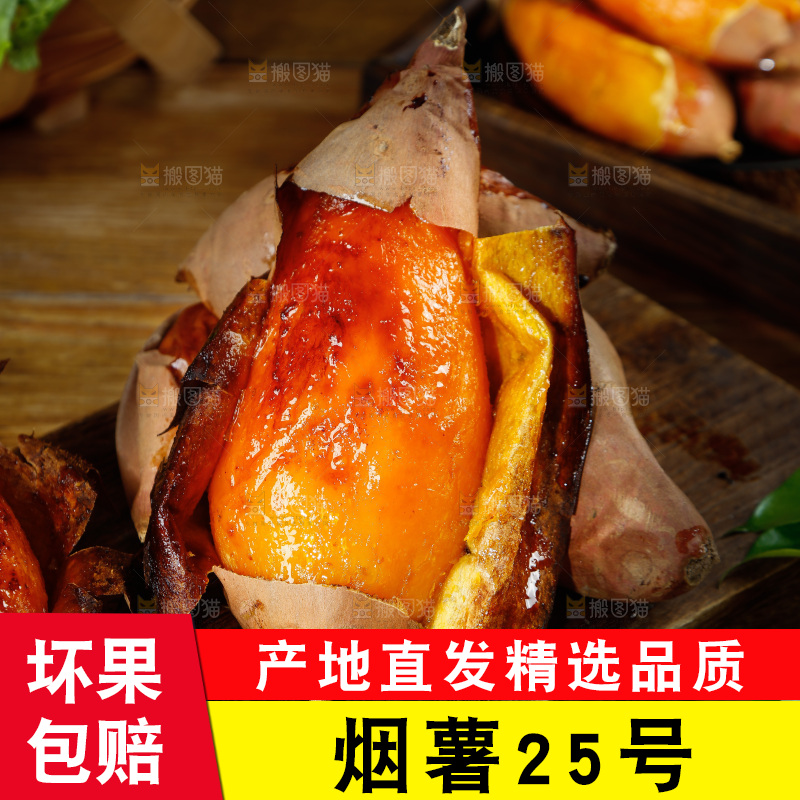 深底上的烟薯25号