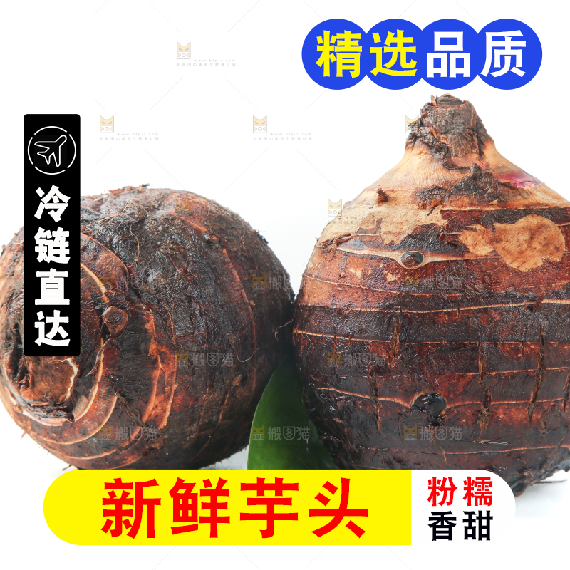 白底上的荔浦芋头