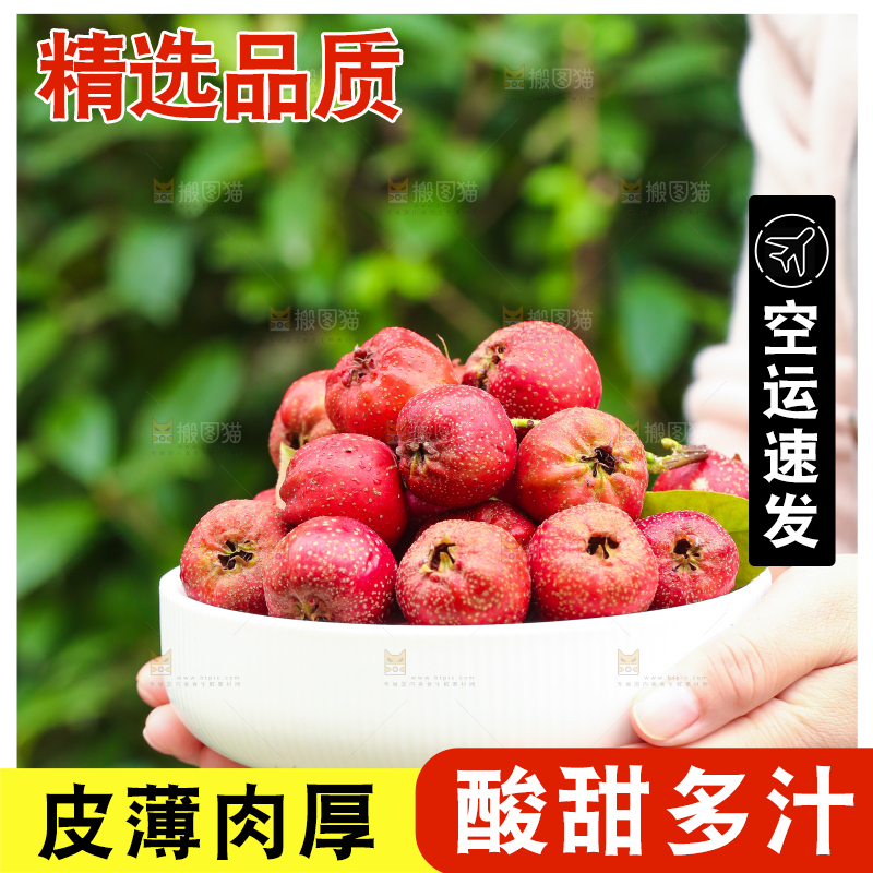 手里拿着新鲜山楂