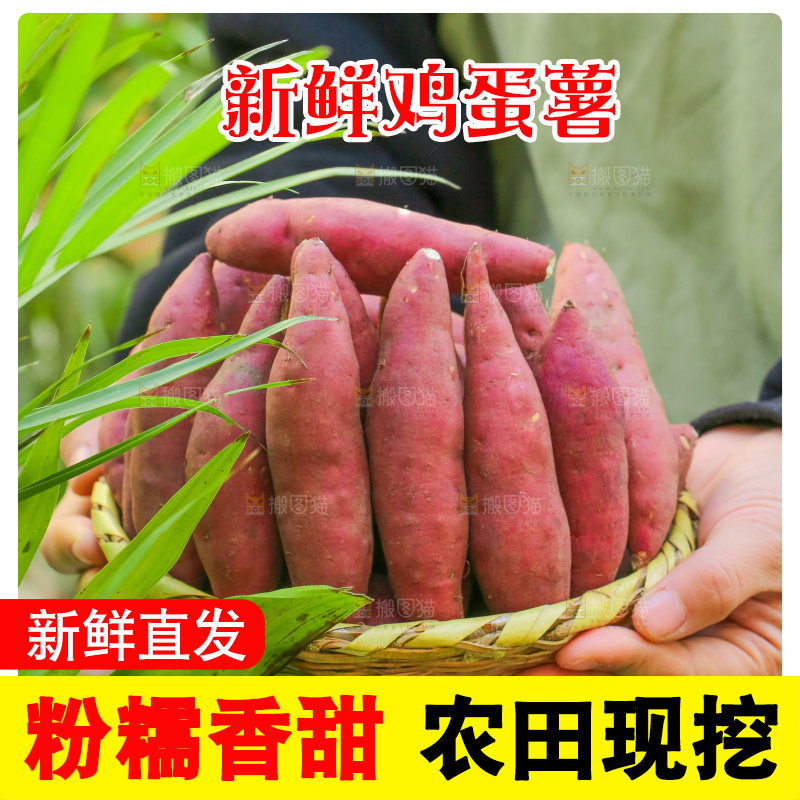 手里拿着小香薯
