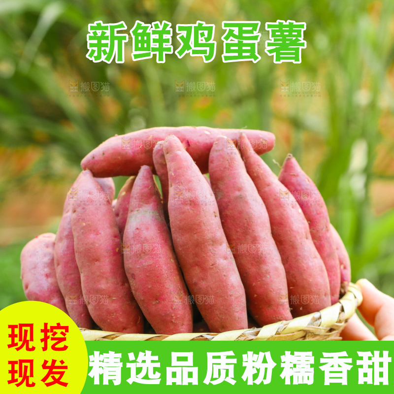 手里拿着小香薯