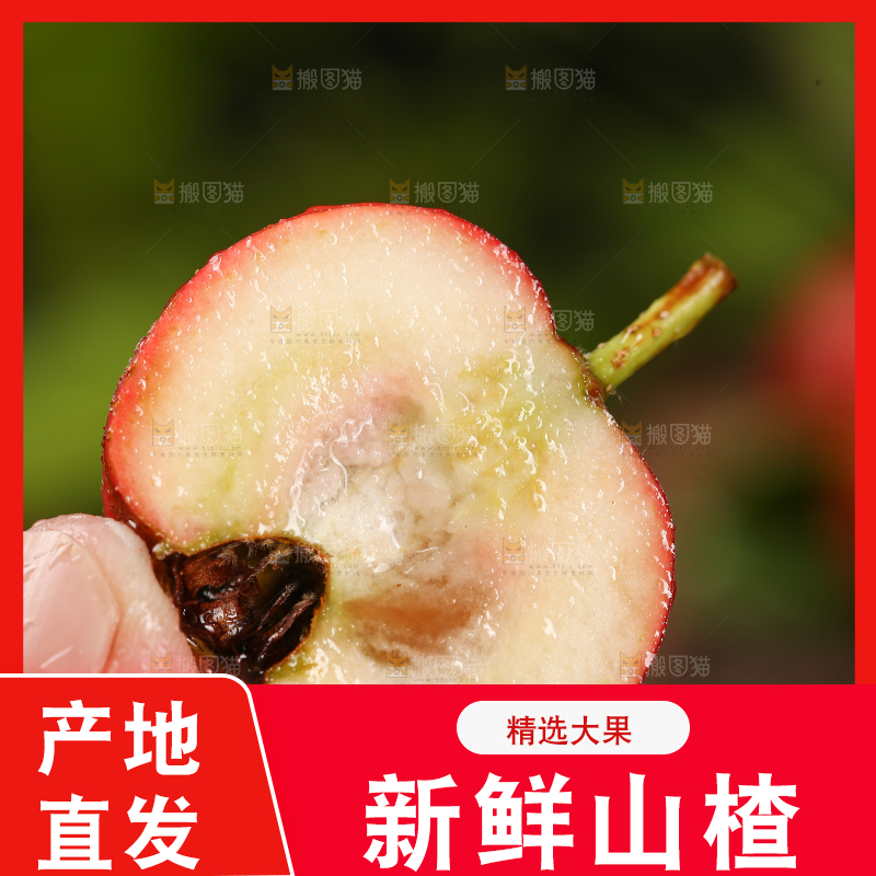 深底上的新鲜山楂