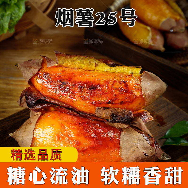 深底上的烟薯25号