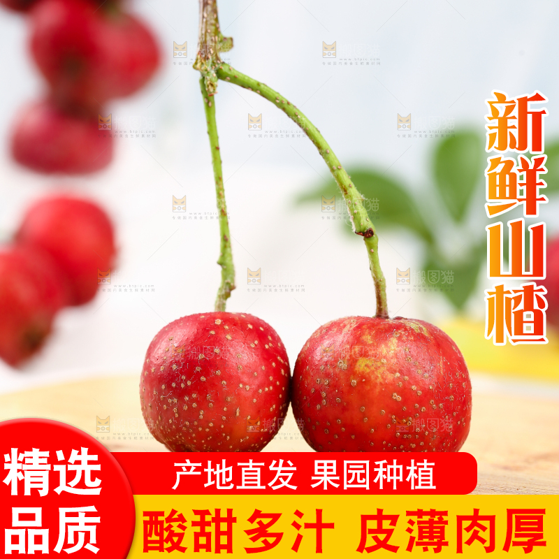 浅底上的新鲜山楂