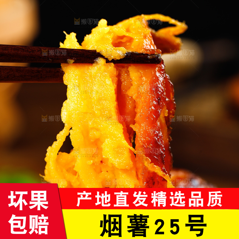 深底上的烟薯25号