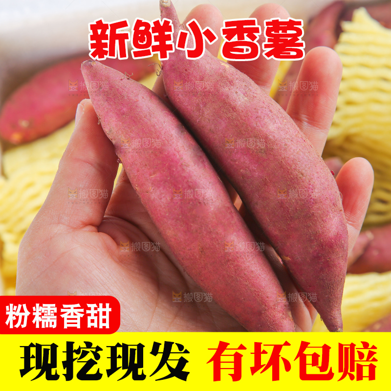 白底上的临安小香薯