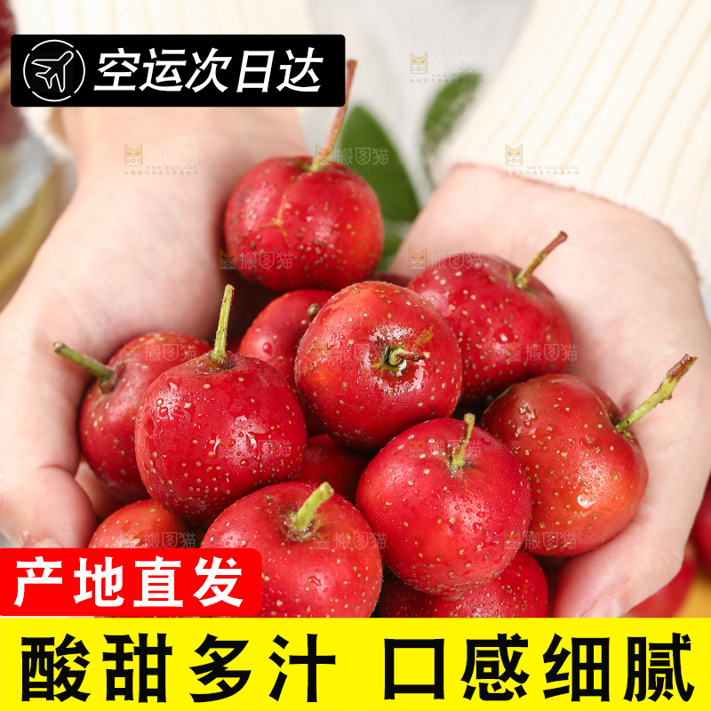 浅底上的新鲜山楂