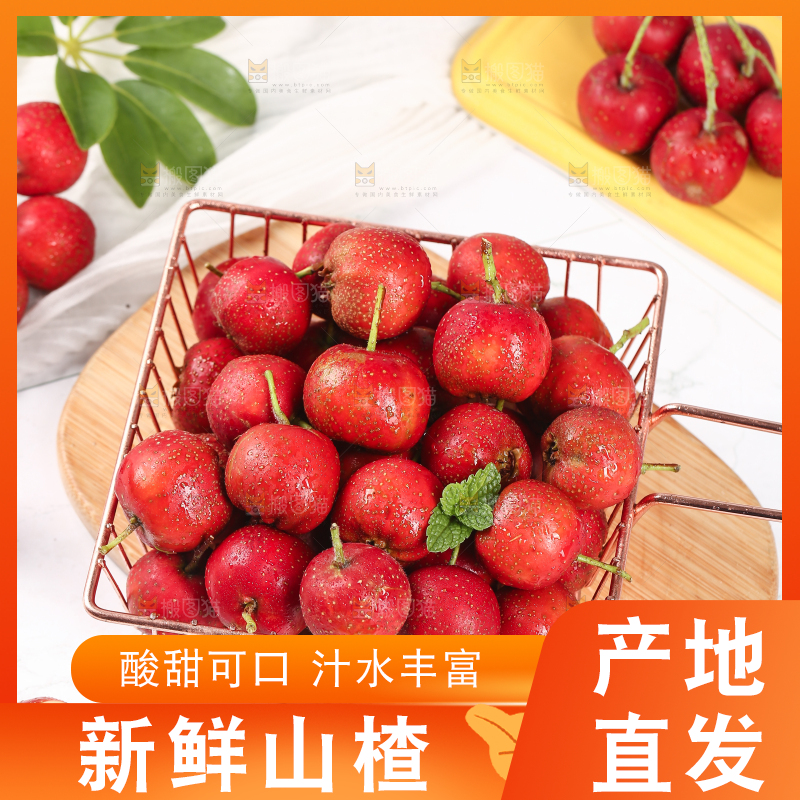浅底上的新鲜山楂