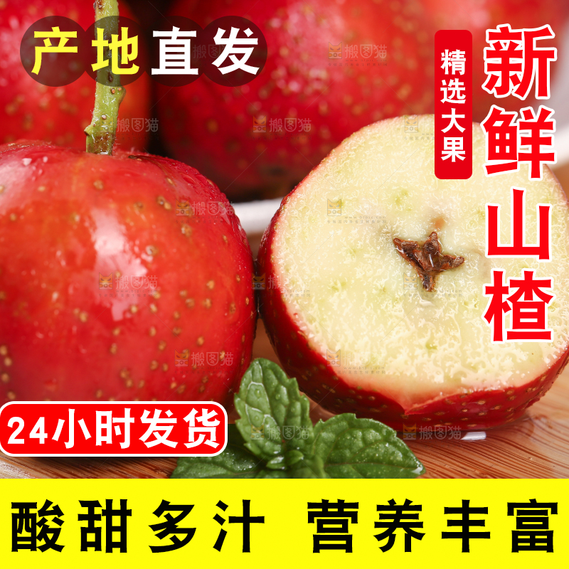 浅底上的新鲜山楂