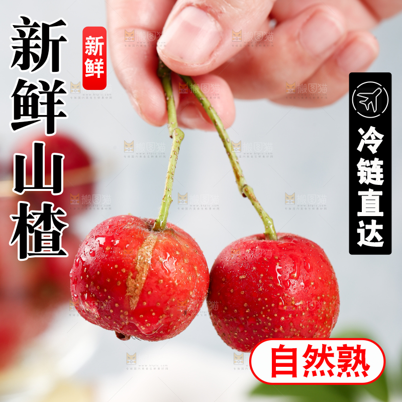 浅底上的新鲜山楂