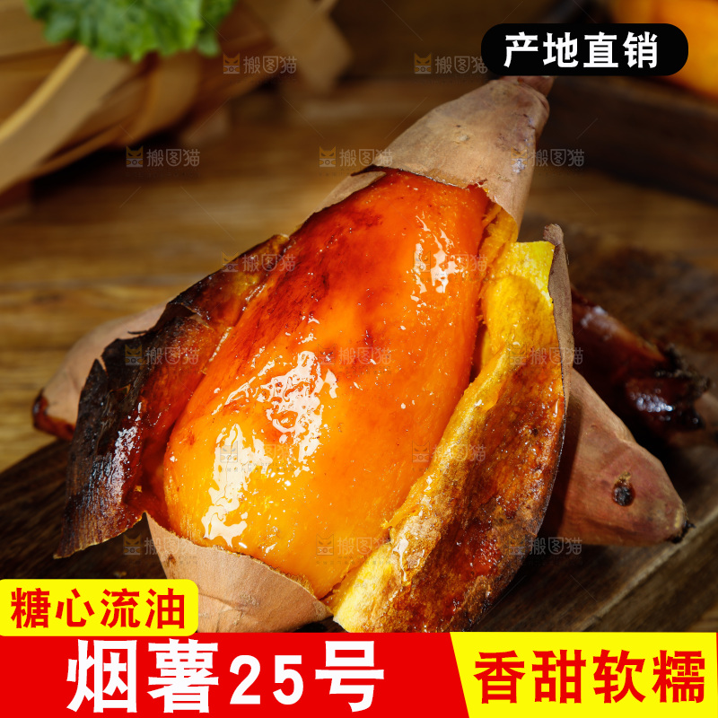 深底上的烟薯25号