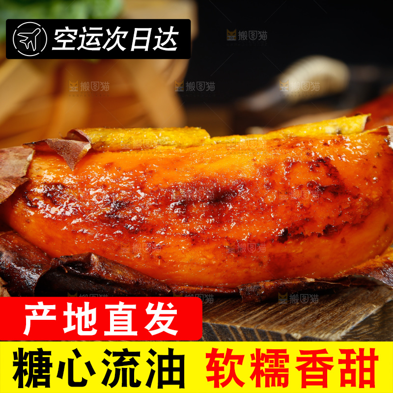 深底上的烟薯25号