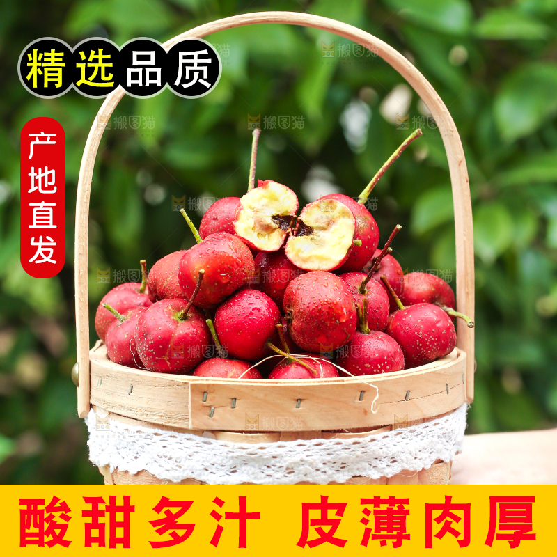 手里拿着新鲜山楂