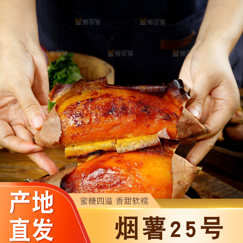 深底上的烟薯25号