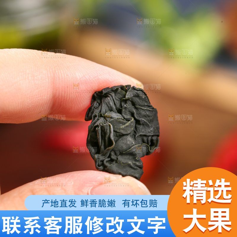 深底上的裙带菜