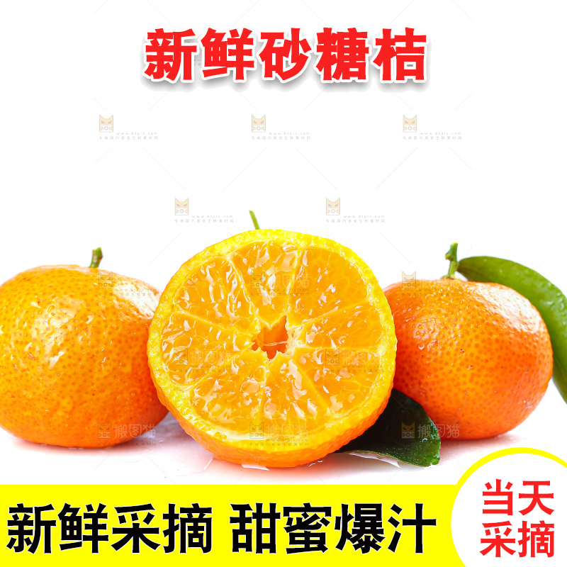 白底上的沙糖桔