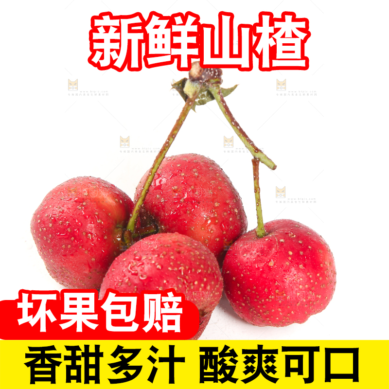 白底上的新鲜山楂