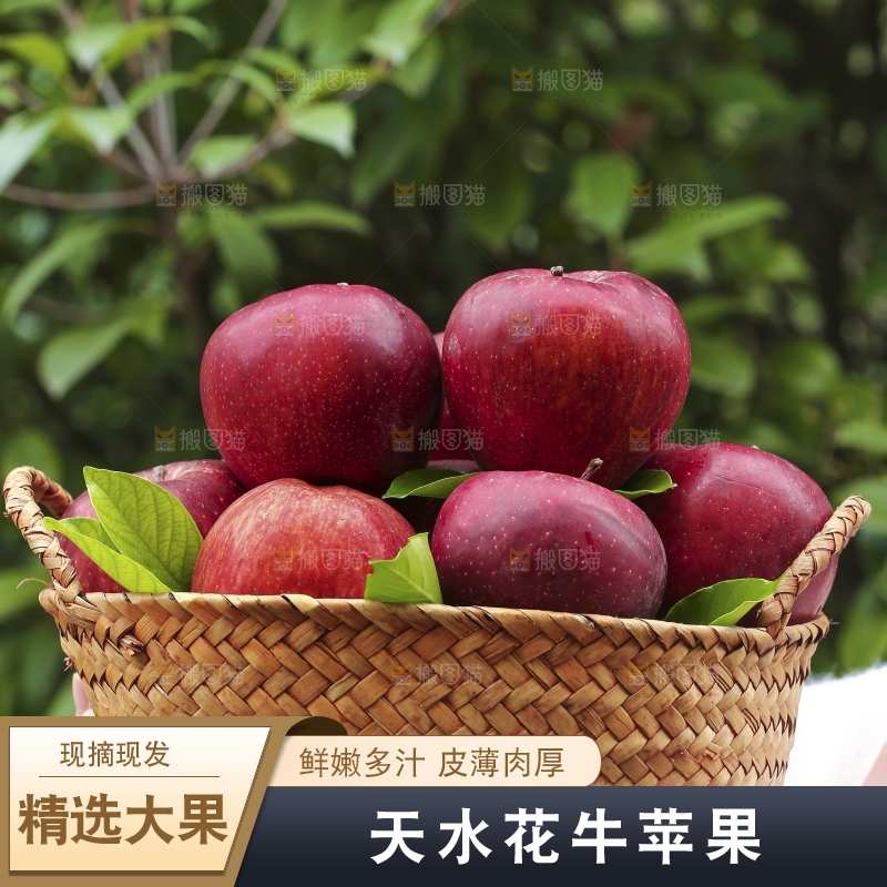 手里拿着花牛苹果
