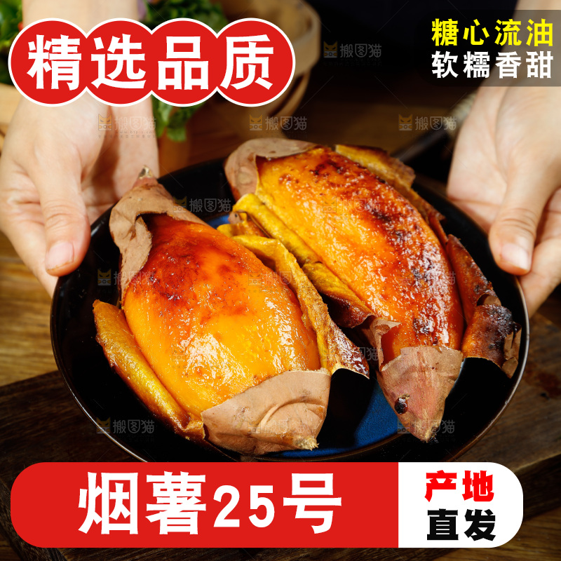 深底上的烟薯25号