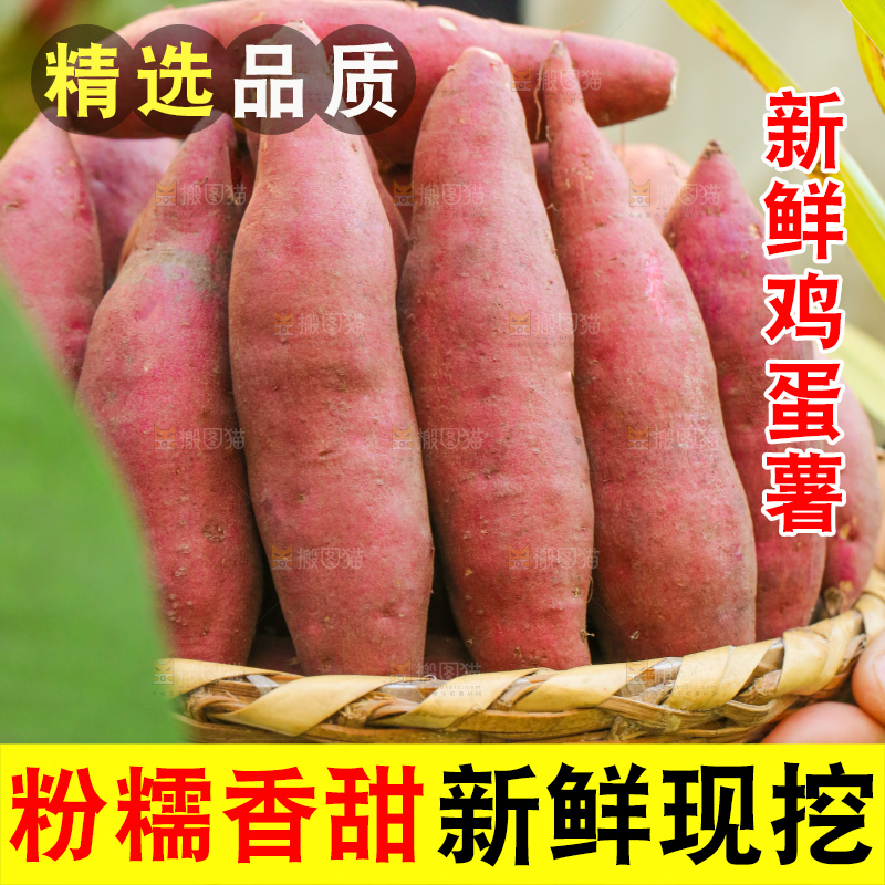 手里拿着小香薯