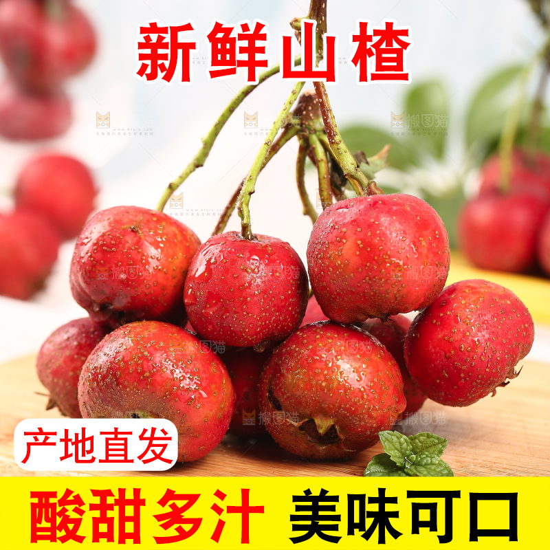 浅底上的新鲜山楂