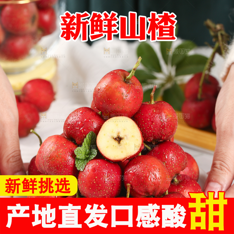 浅底上的新鲜山楂