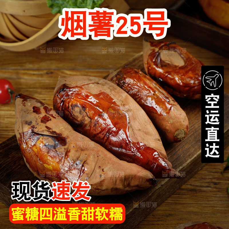 深底上的烟薯25号